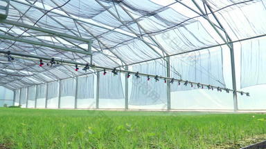 浇水机灌溉植物温室农业设备